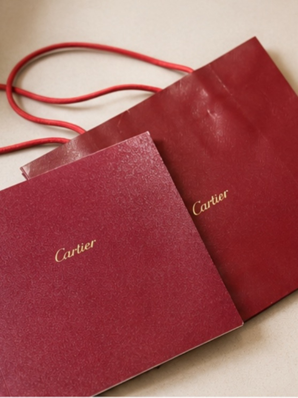 Authentic Cartier Coloring Book + Cartier Gift Bag | Rare Collectible